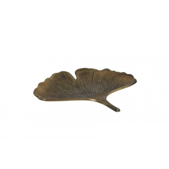 KÜLÖNLEGES GINGKO BILOBA LEVÉL FORMA KÍNÁLÓ