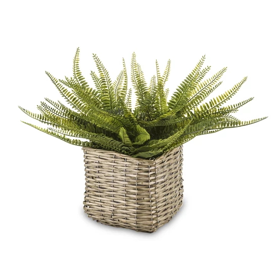 PÁFRÁNY DEKORÁCIÓS MŰVIRÁG FONOTT KASPÓBAN 45 CM