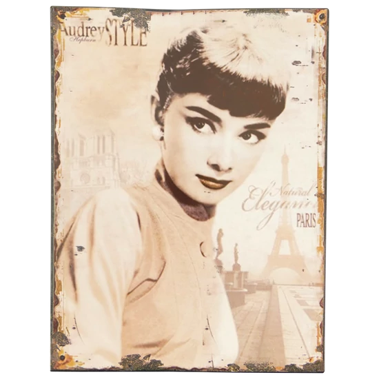AUDREY HEPBURN FALIKÉP FÉMBŐL